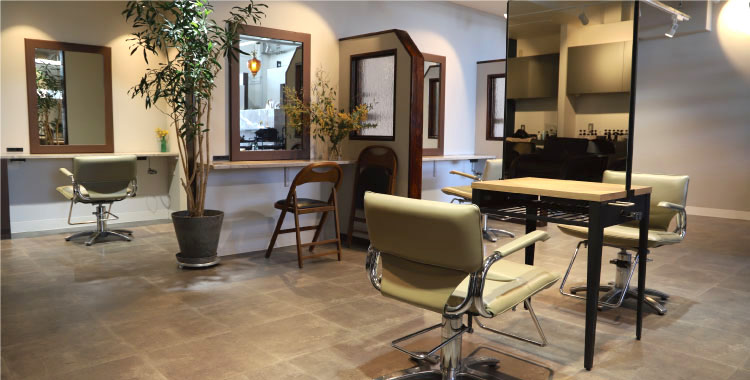 Ami hair annex